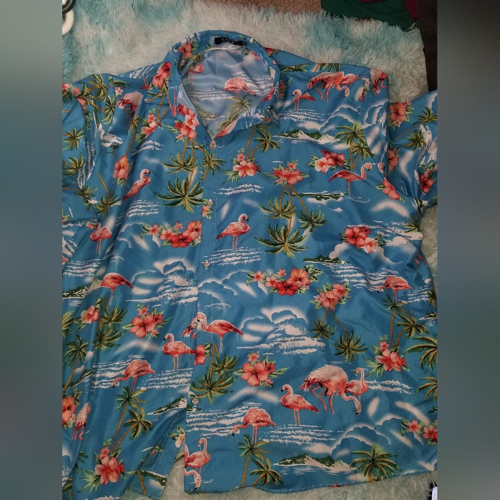 Sslr shirt button down